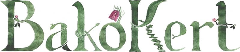bakokert.hu