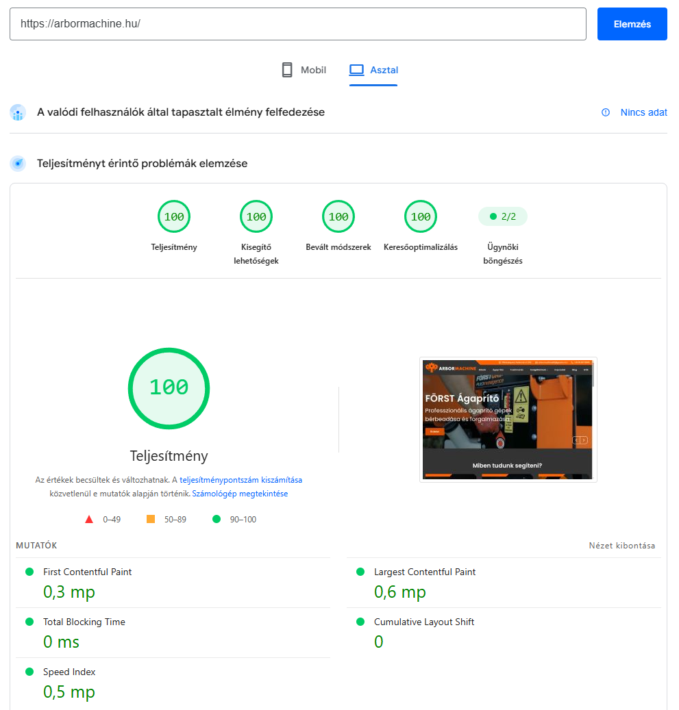 PageSpeed mérés az új Arbormachine-oldalon: asztali nézetben mind a négy kategória 100 pontos