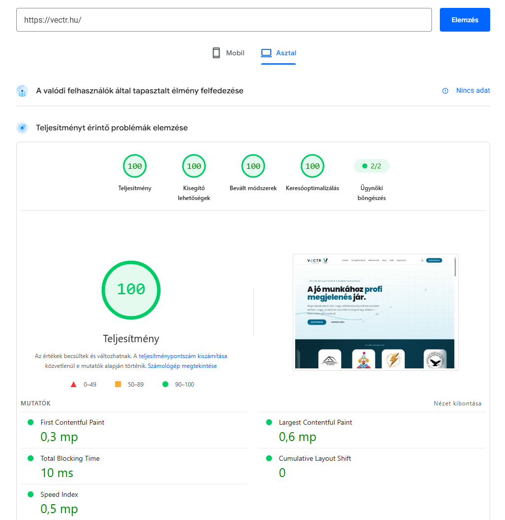 PageSpeed mérés a Vectr-oldalon: asztali nézetben mind a négy kategória 100 pontos